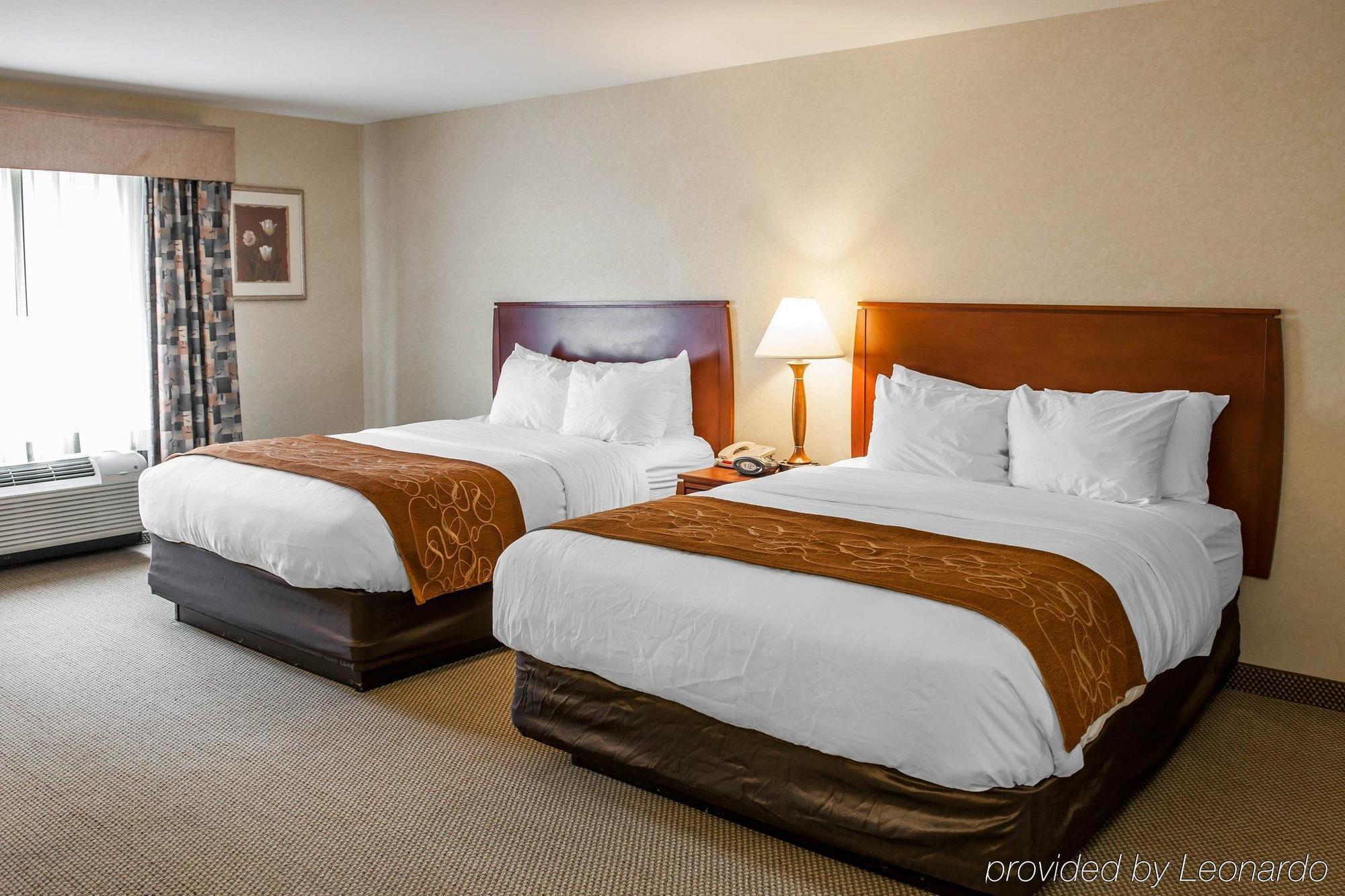 Comfort Suites South Елкгарт Екстер'єр фото